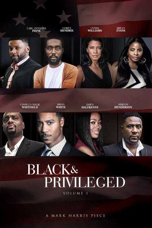 Чёрные и привилегированные (2019)