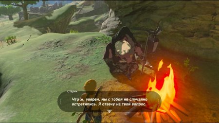 The Legend of Zelda: Breath of the Wild (2017)