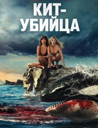 ���-������ (2026)