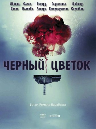 Черный цветок (2016)