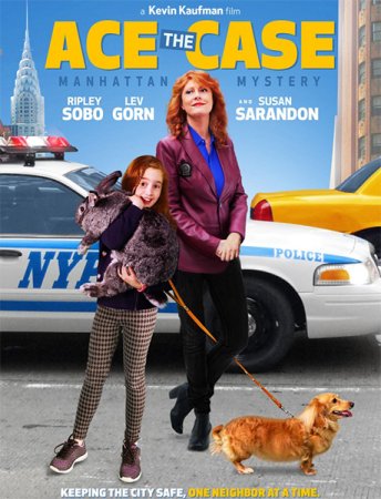 Реши дело / Реши кейс 2016