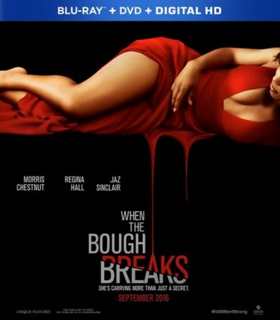 Все тайное становится явным (2016)