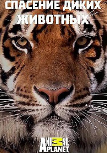 Спасение диких животных, Animal planet 2017 1 сезон